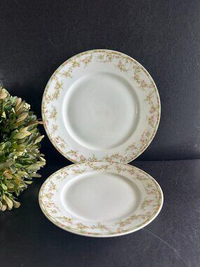 Haviland Limoges France Plate Set Pink Roses & Green Garland #346 Pattern 1903yr